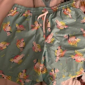 Mens Chubbies swimsuit
